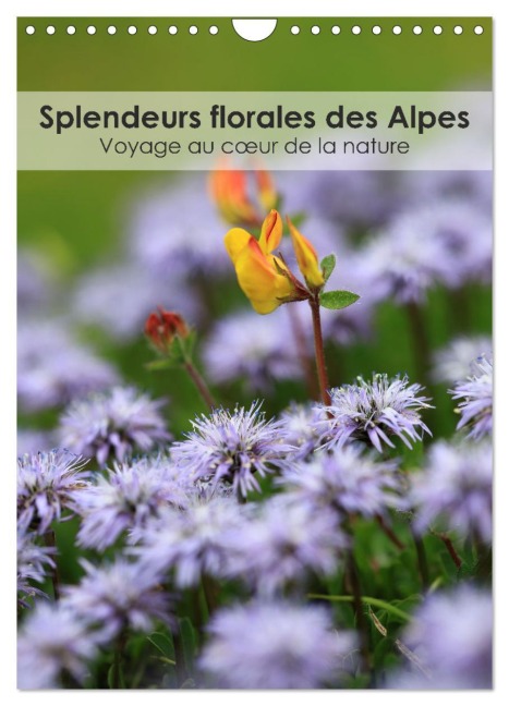 Splendeurs florales des Alpes - Voyage au c¿ur de la nature (Calendrier mural 2026 DIN A4 horizontal), CALVENDO calendrier mensuel - Thomas Martzel