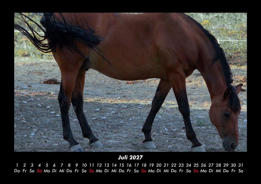 InsideView 11