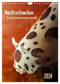 Nacktschnecken - Unterwasserwelt 2024 (Wandkalender 2024 DIN A4 hoch), CALVENDO Monatskalender - Claudia Weber-Gebert