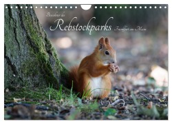 Cover-Bild zum Titel 'Bewohner des Rebstockparks Frankfurt am Main (Wandkalender 2026 DIN A4 quer), CALVENDO Monatskalender' von 'Dieter Fuchs'