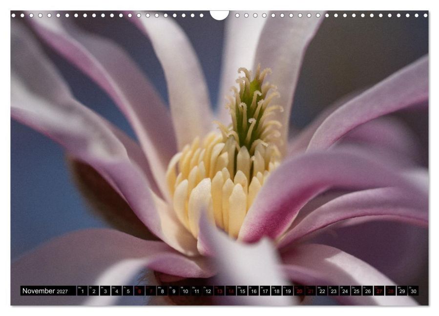 InsideView 3