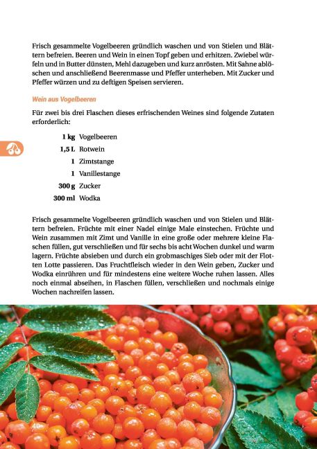 InsideView 13