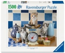 Cover-Bild zum Titel 'Erwachsenenpuzzle 1500 Teile - Kätzchen in der Küche' von ''