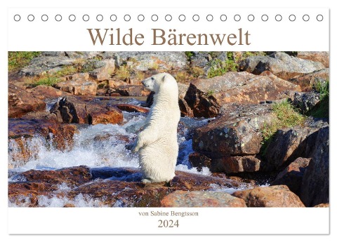 Wilde Bärenwelt (Tischkalender 2024 DIN A5 quer), CALVENDO Monatskalender - Sabine Bengtsson