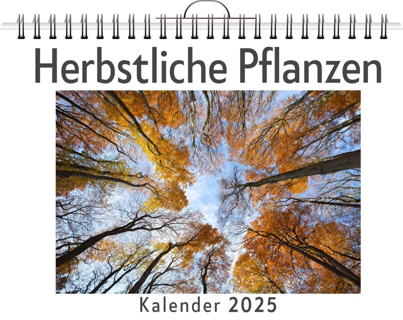 Herbstliche Pflanzen - Ben Maier