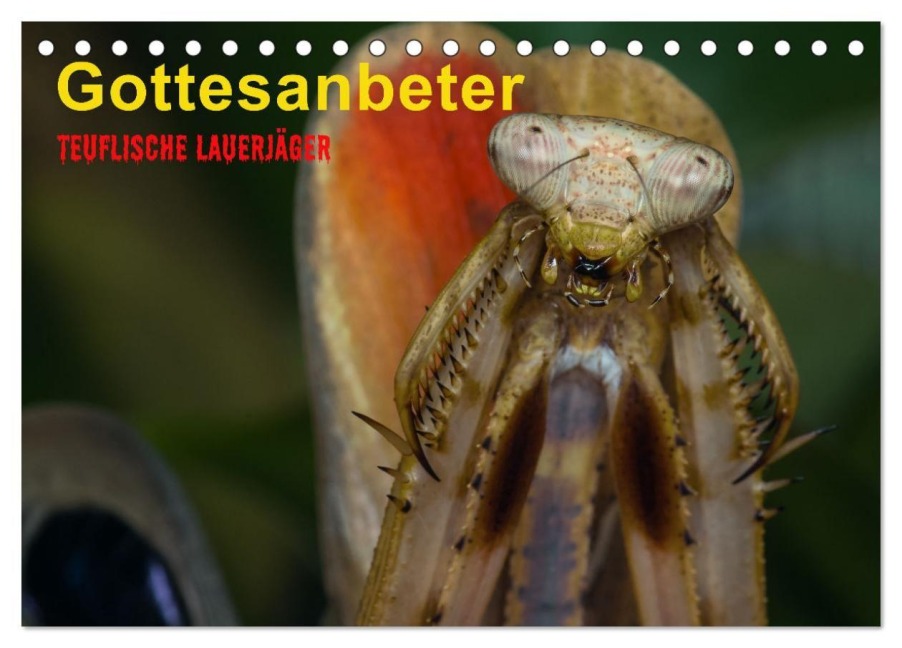 Gottesanbeter - Teuflische Lauerjäger (Tischkalender 2026 DIN A5 quer), CALVENDO Monatskalender - Alfred Preuss