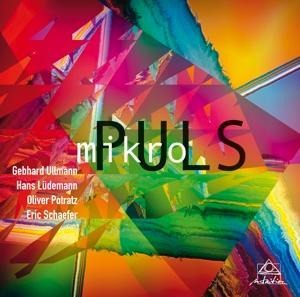 mikroPULS - Gebhard/Lüdemann Mikropuls (Ullmann