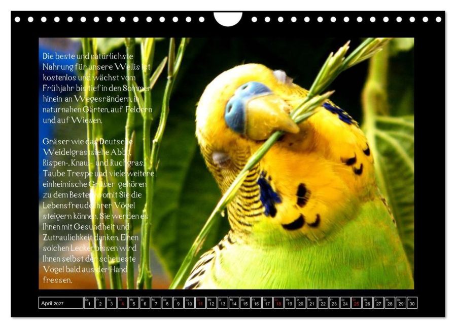 InsideView 9