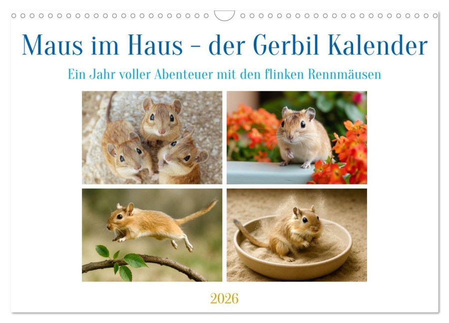 Maus im Haus - der Gerbil Kalender (Wandkalender 2026 DIN A3 quer), CALVENDO Monatskalender - Kerstin Waurick