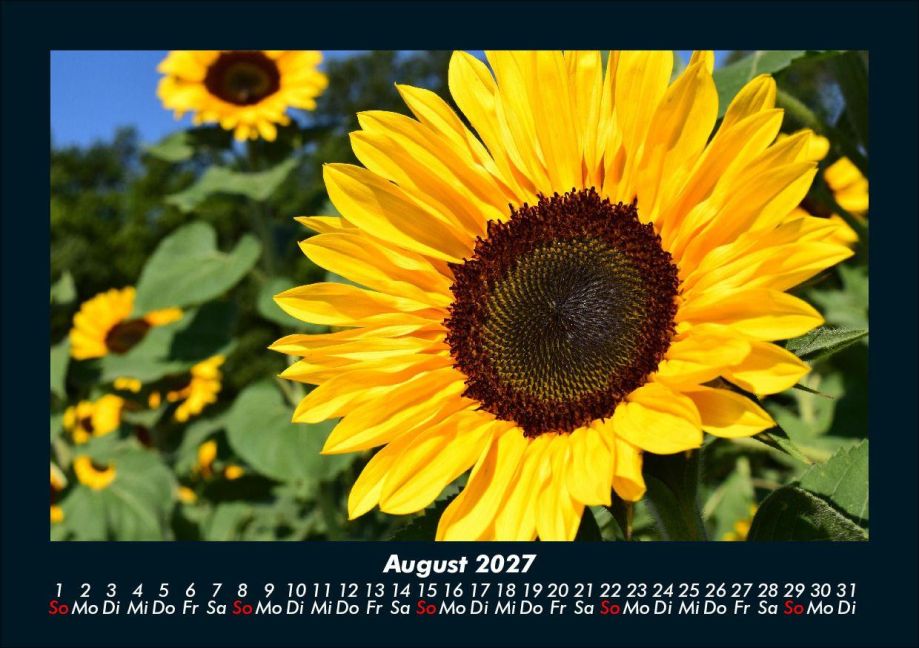 InsideView 12