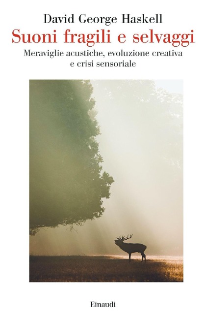Suoni fragili e selvaggi. Meraviglie acustiche, evoluzione creativa e crisi sensoriale - David George Haskell