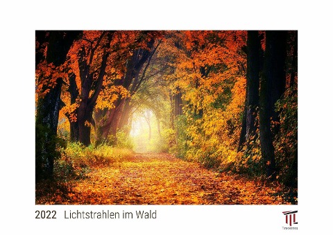 Lichtstrahlen im Wald 2022 - White Edition - Timokrates Kalender, Wandkalender, Bildkalender - DIN A4 (ca. 30 x 21 cm) - 