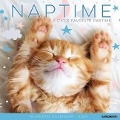 Naptime (Cats) 2024 12 X 12 Wall Calendar - Willow Creek Press