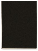 Cover-Bild zum Titel 'Buchkalender Manager-Timer Balaton schwarz 2027' von ''