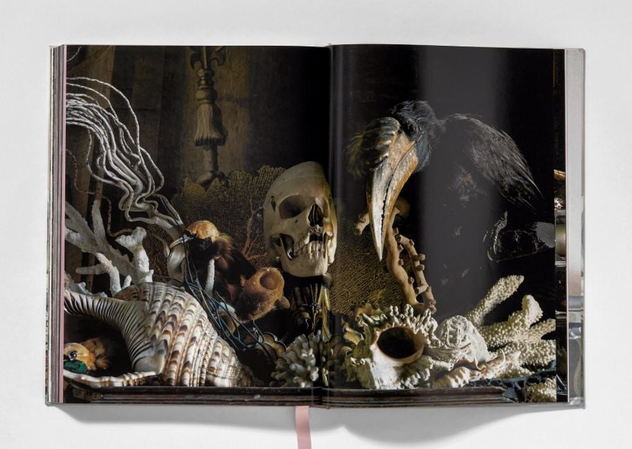 InsideView 14
