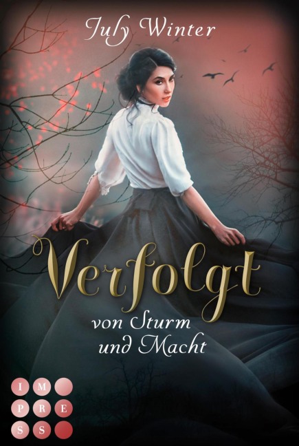 Verfolgt von Sturm und Macht (Sturmwanderer 1) - July Winter