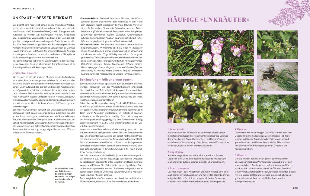 InsideView 5