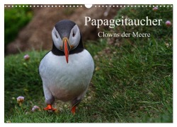 Cover-Bild zum Titel 'Papageitaucher Clowns der Meere (Wandkalender 2026 DIN A3 quer), CALVENDO Monatskalender' von 'Leon Uppena'