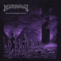 Cover-Bild zum Titel 'Totenzug: Festering Peregrination' von 'Nekrovault'