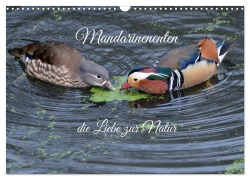 Cover-Bild zum Titel 'Mandarinenenten, die Liebe zur Natur (Wandkalender 2026 DIN A3 quer), CALVENDO Monatskalender' von 'Rufotos Rufotos'