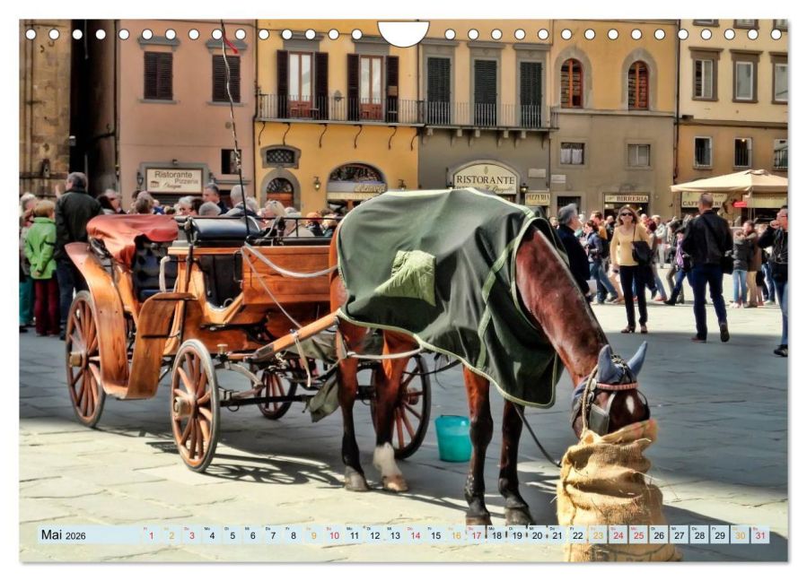 InsideView 10