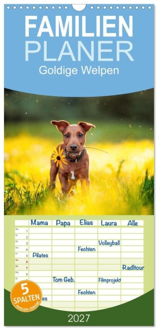 Familienplaner 2027 - Goldige Welpen mit 5 Spalten (Wandkalender, 21 x 45 cm) CALVENDO - Pfotenblitzer Tierfotografie