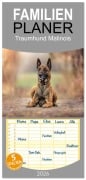 Cover-Bild zum Titel 'Familienplaner 2026 - Traumhund Malinois mit 5 Spalten (Wandkalender, 21 x 45 cm) CALVENDO' von 'Martina Wrede - Wredefotografie'