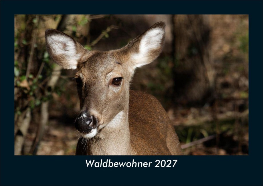 Waldbewohner 2027 Fotokalender DIN A5 - Tobias Schmitt, Kevin Heber