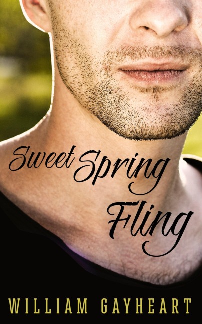 Sweet Spring Fling (Love in Port Harbor) - William Gayheart