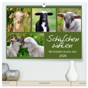 Cover-Bild zum Titel 'Schäfchen zählen - Mit Schafen durchs Jahr (hochwertiger Premium Wandkalender 2026 DIN A2 quer), Kunstdruck in Hochglanz' von 'Sabine Löwer'