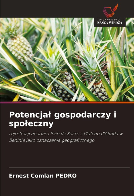 Potencja¿ gospodarczy i spo¿eczny - Ernest Comlan Pedro