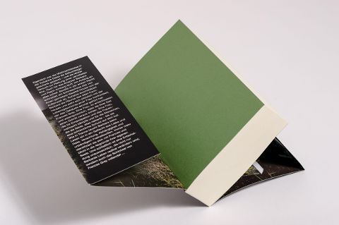 InsideView 2