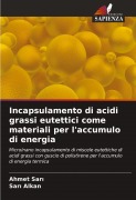 Cover-Bild zum Titel 'Incapsulamento di acidi grassi eutettici come materiali per l'accumulo di energia' von 'Ahmet Sar¿, Sar¿ Alkan'