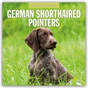 Cover-Bild zum Titel 'German Shorthaired Pointers - Deutscher Kurzhaar - Deutscher Kurzhaariger Vorstehhund 2026 - 16-Monatskalender' von 'Robin Red'