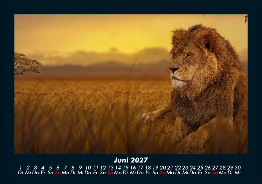 InsideView 10