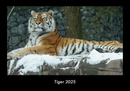 Cover-Bild zum Titel 'Tiger 2025 Fotokalender DIN A3' von 'Tobias Becker'