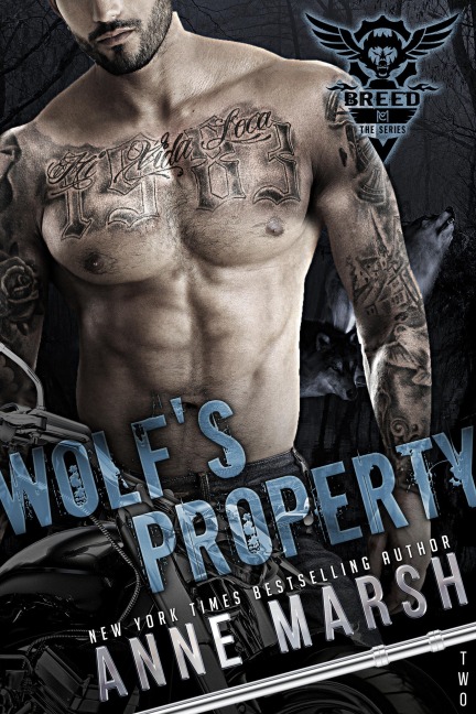Wolf's Property (A Breed MC Book, #2) - Anne Marsh