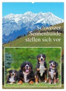 Cover-Bild zum Titel 'Schweizer Sennenhunde stellen sich vor (Wandkalender 2026 DIN A2 hoch), CALVENDO Monatskalender' von 'Sigrid Starick'