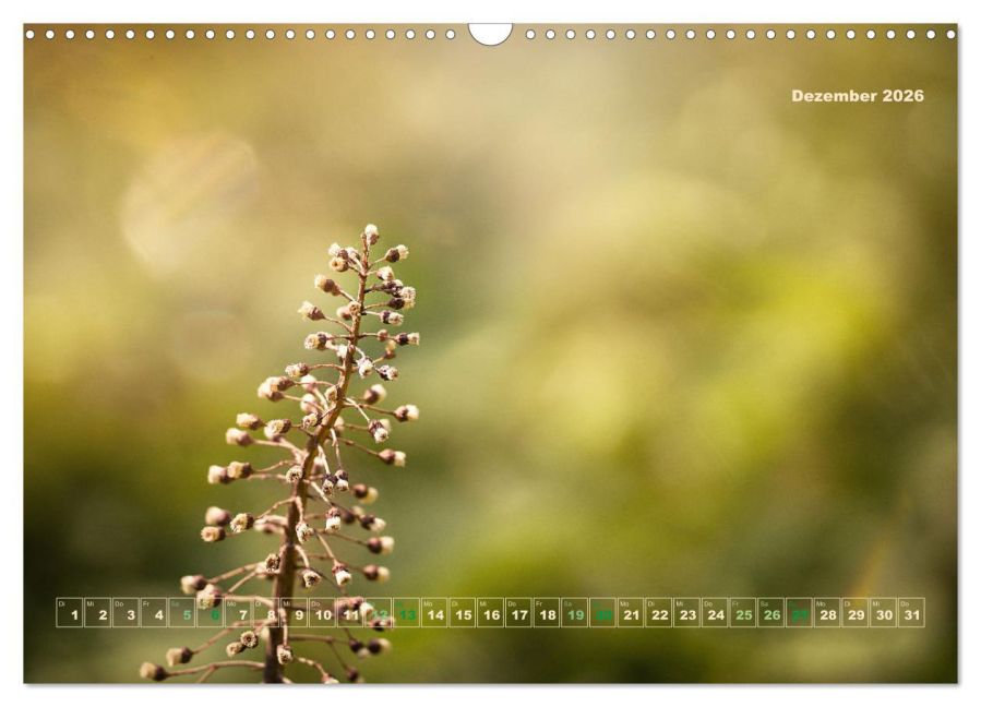 InsideView 4