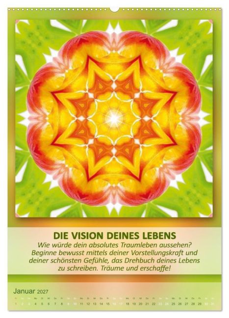 InsideView 6
