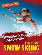 Cover-Bild zum Titel 'Mobbing the Mountain' von 'Virginia Loh-Hagan'