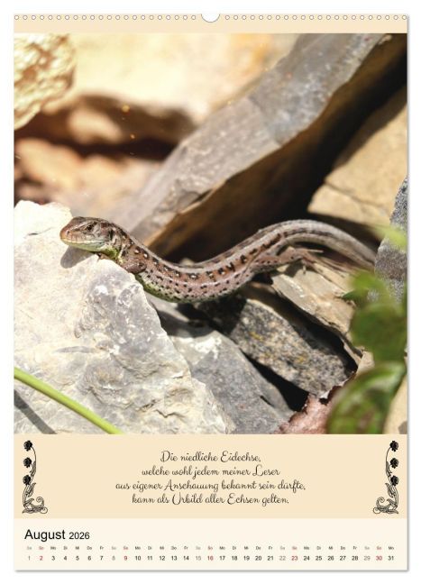 InsideView 12