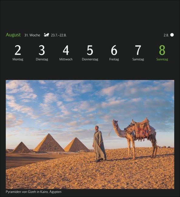 InsideView 12