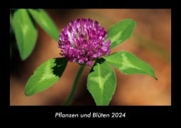 Pflanzen und Blüten 2024 Fotokalender DIN A3 - Tobias Becker