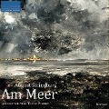 Cover-Bild zum Titel 'Am Meer' von 'August Strindberg'