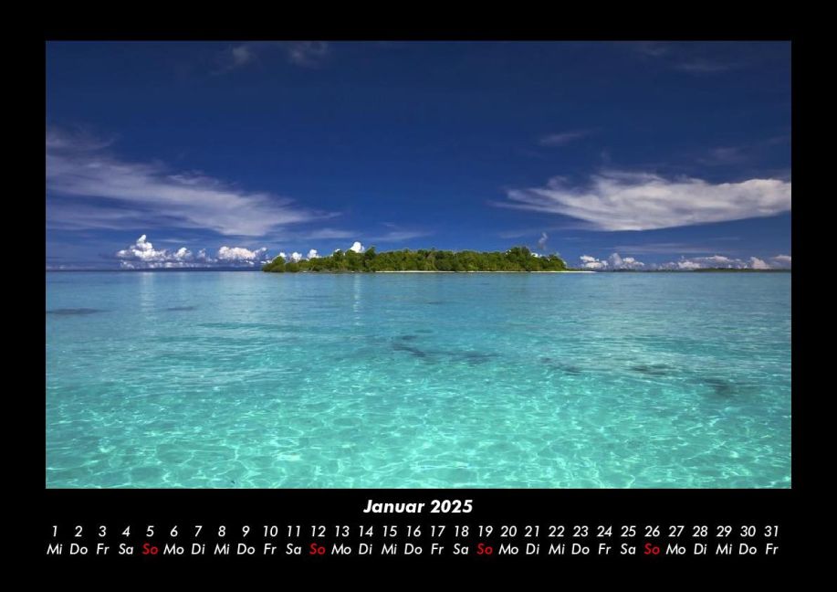 InsideView 5