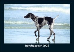 Cover-Bild zum Titel 'Hundezauber 2026 Fotokalender DIN A5' von 'Tobias Becker'
