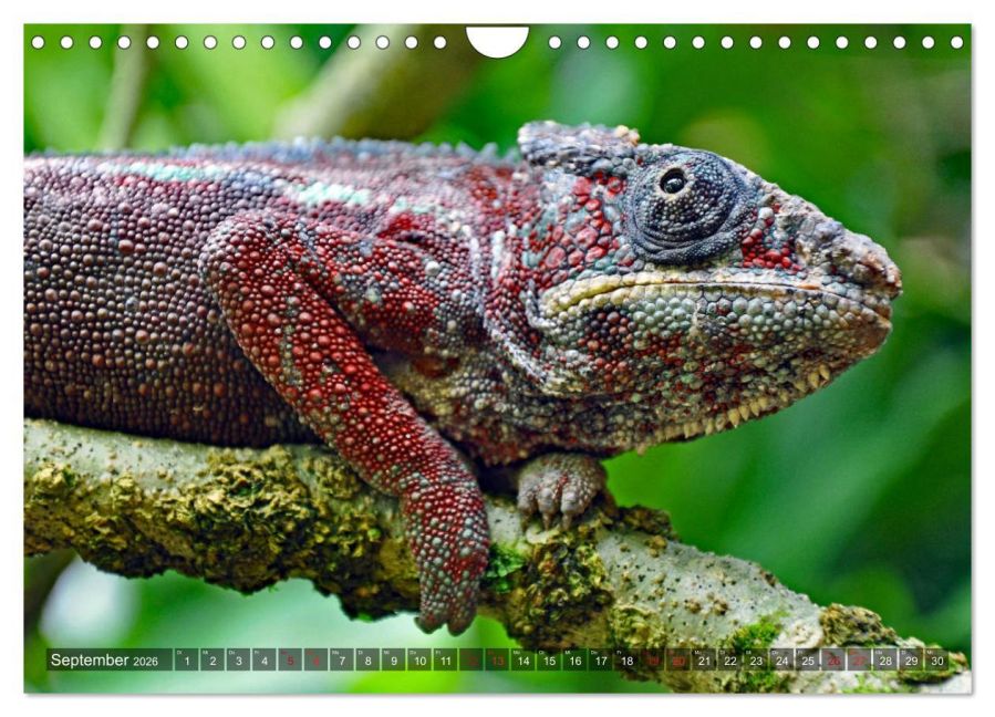 InsideView 14