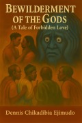 Cover-Bild zum Titel 'Bewilderment Of The Gods' von 'Dennis Chikadibia Ejimudo'