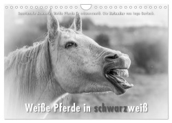 Emotionale Momente: Weiße Pferde in schwarzweiß. (Wandkalender 2026 DIN A4 quer), CALVENDO Monatskalender - Ingo Gerlach